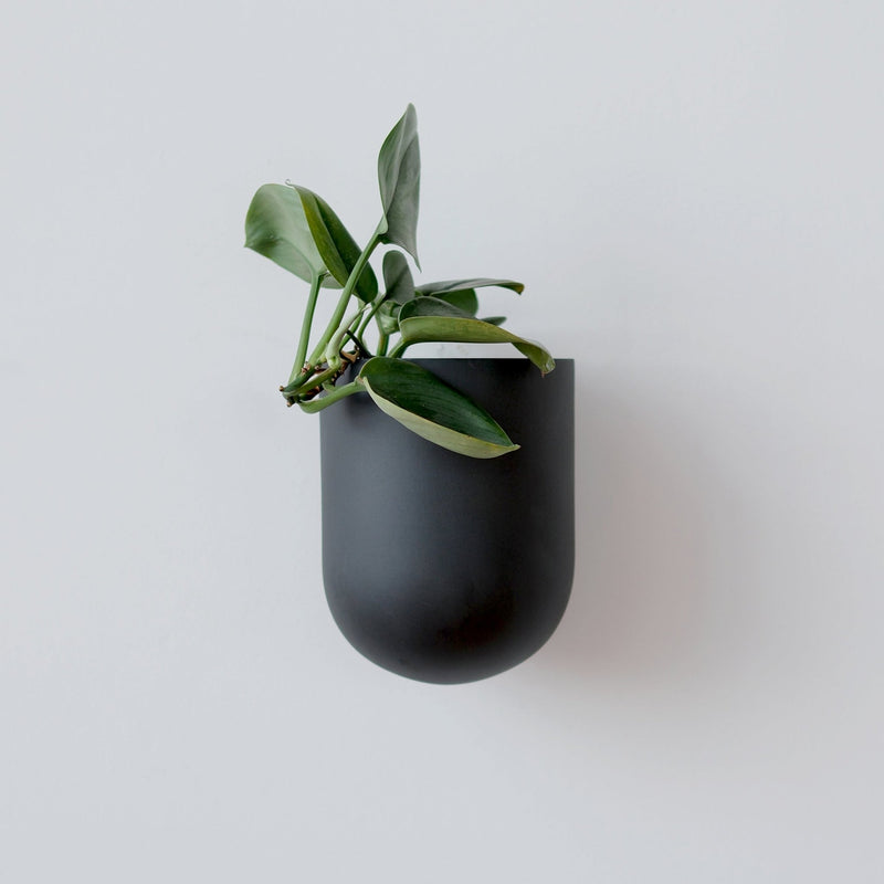 Bender Wall Planter - Misewell Pots & Planters - Coral - HORNE