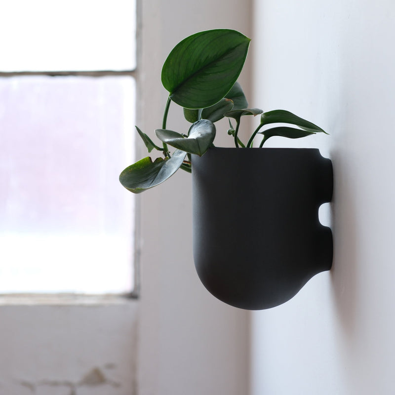 Bender Wall Planter - Misewell Pots & Planters - Coral - HORNE