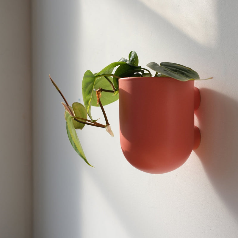 Bender Wall Planter - Misewell Pots & Planters - Coral - HORNE