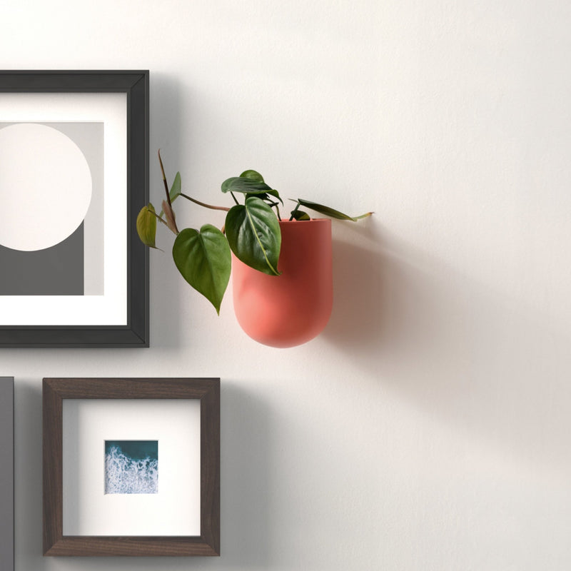 Bender Wall Planter - Misewell Pots & Planters - Coral - HORNE