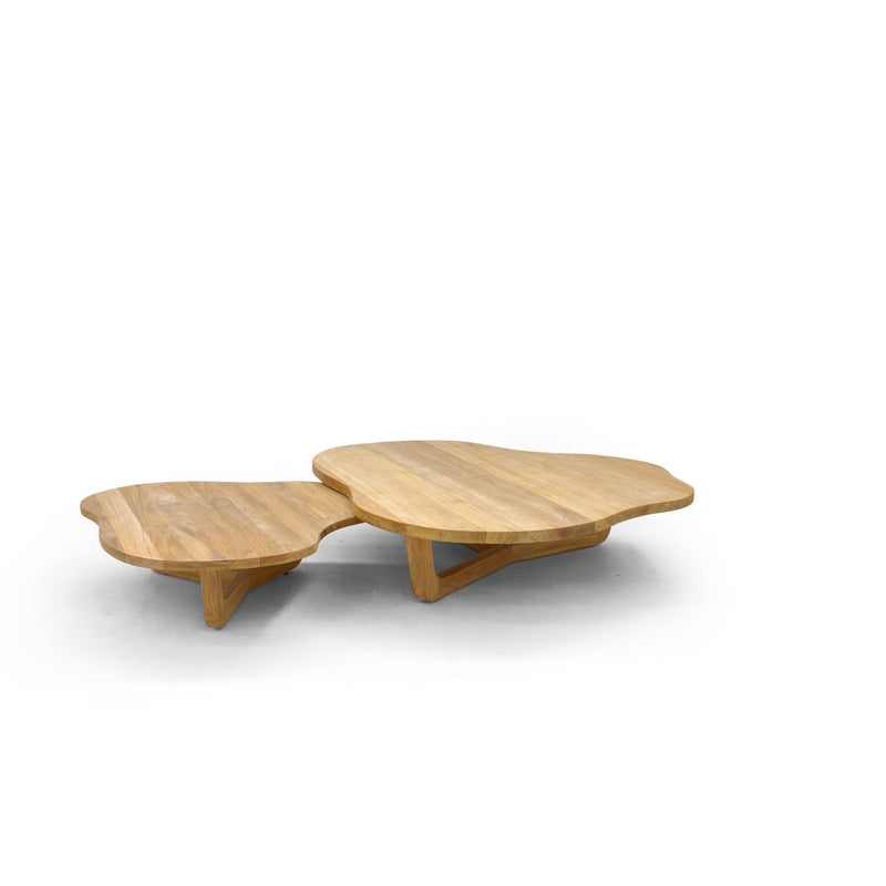 Brindisi Organic Coffee Table - BETACO Tables + Desks - Large / Teak - HORNE