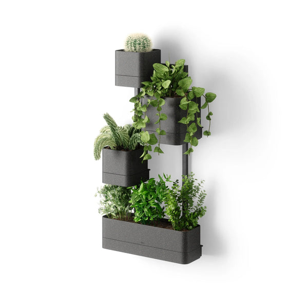 Cubiko Wall Planter - Umbra Pots & Planters - Black - HORNE