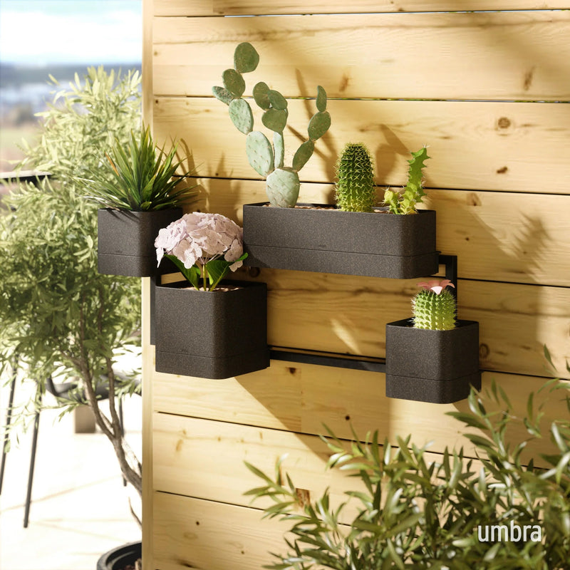 Cubiko Wall Planter - Umbra Pots & Planters - Black - HORNE