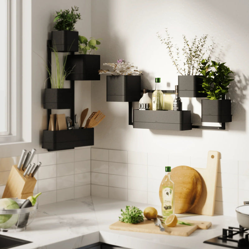 Cubiko Wall Planter - Umbra Pots & Planters - Black - HORNE