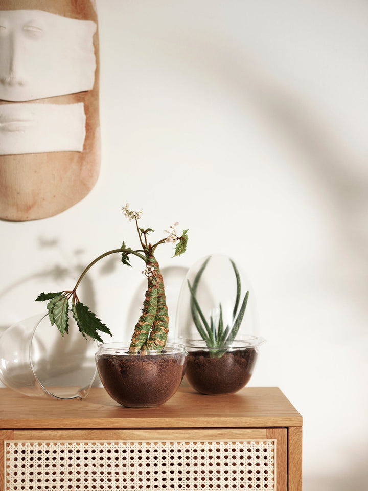 Grow - Design House Stockholm Pots & Planters - Large - HORNE