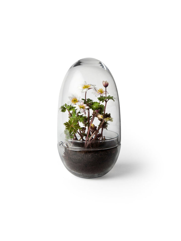 Grow - Design House Stockholm Pots & Planters - Medium - HORNE