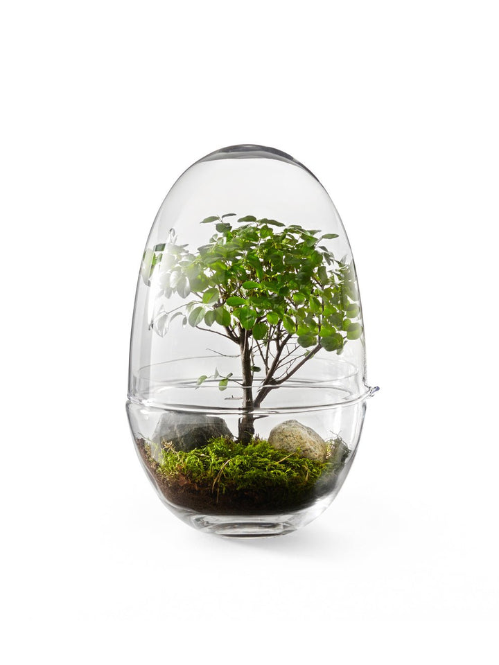 Grow - Design House Stockholm Pots & Planters - Large - HORNE