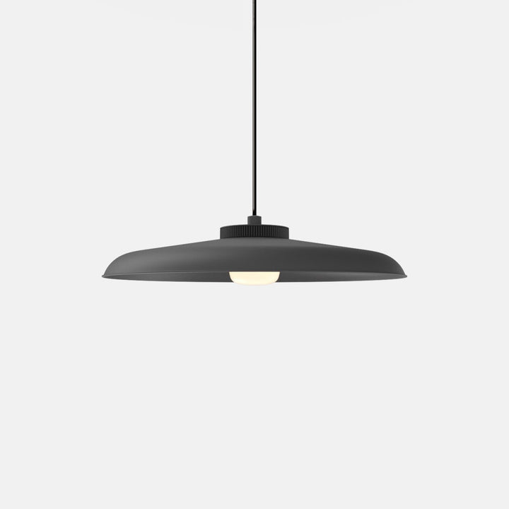 Hoist Pendant - Large Shade - RBW Lighting - Matte Black - Small Glass Diffuser - 2700K (warm white) - HORNE