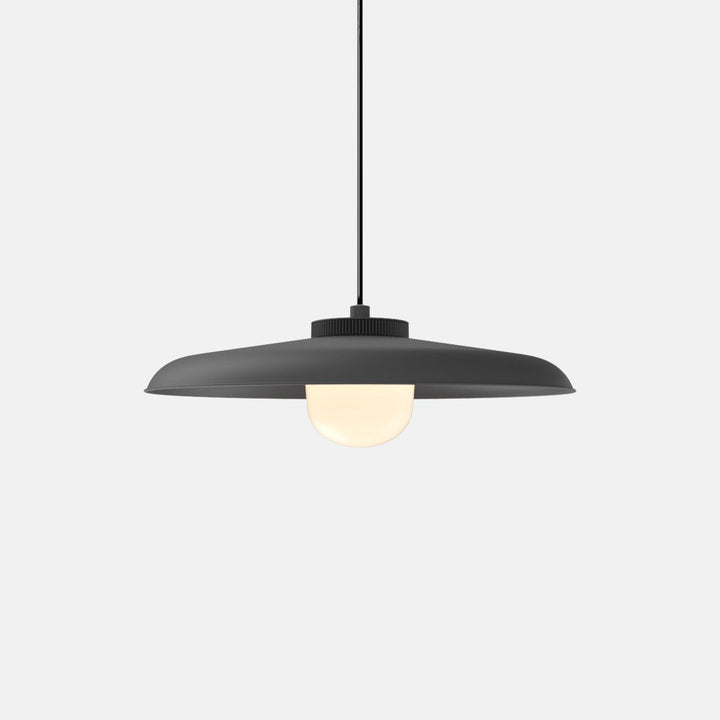 Hoist Pendant - Large Shade - RBW Lighting - Matte Black - Large Glass Diffuser - 2700K (warm white) - HORNE