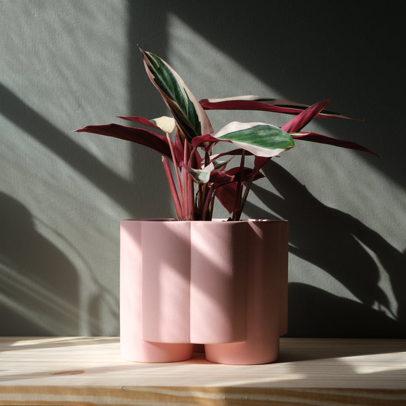 Pillar Planter - Misewell Pots & Planters - Brick - HORNE