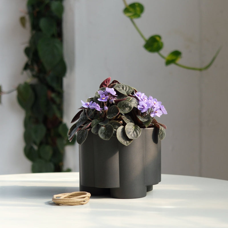 Pillar Planter - Misewell Pots & Planters - Brick - HORNE
