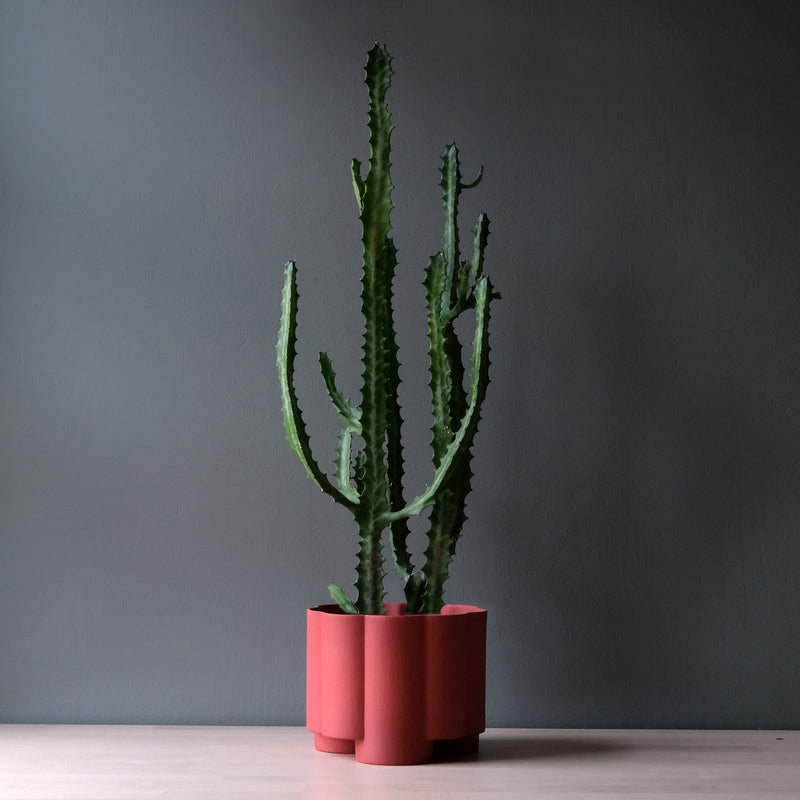 Pillar Planter - Misewell Pots & Planters - Brick - HORNE