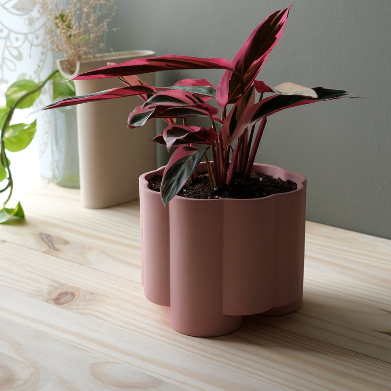 Pillar Planter - Misewell Pots & Planters - Brick - HORNE