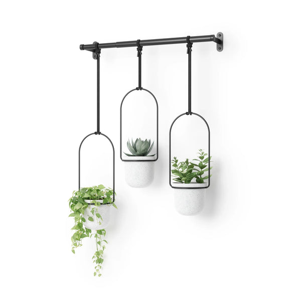 Triflora Hanging Planters - Set of 3 - Umbra Pots & Planters - HORNE