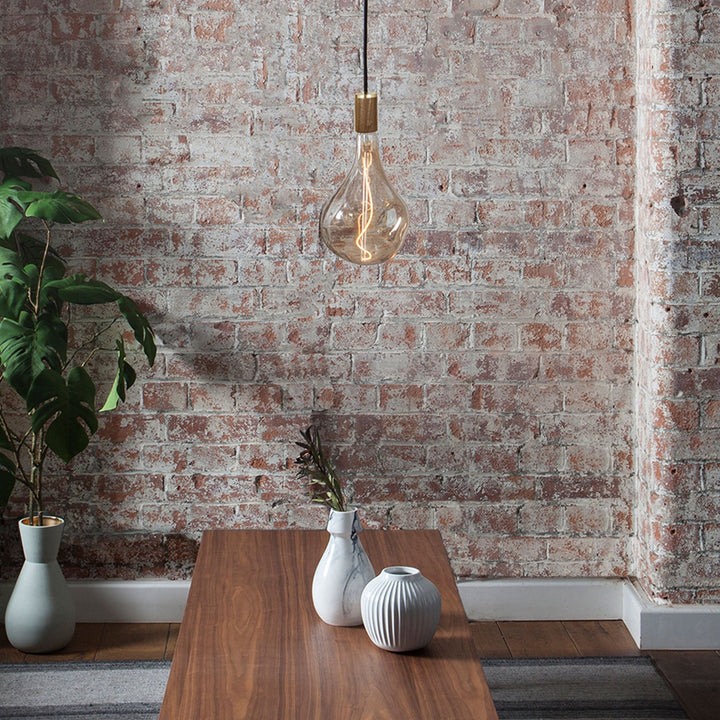 Voronoi II Pendant Light - Tala Single Pendants - Brass - HORNE