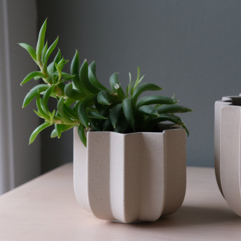 Wrap Planter - Misewell Pots & Planters - dune - 4 inch - HORNE