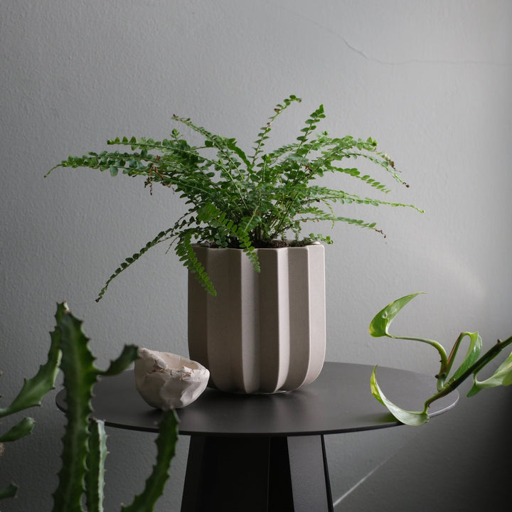Wrap Planter - Misewell Pots & Planters - dune - 5 inch - HORNE