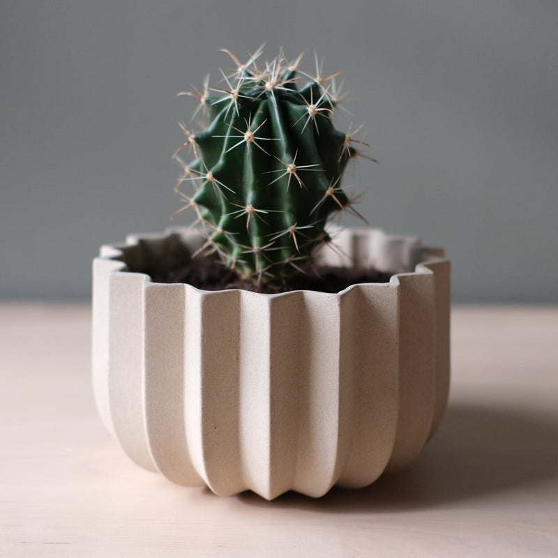 Wrap Planter - Misewell Pots & Planters - dune - 4 inch - HORNE