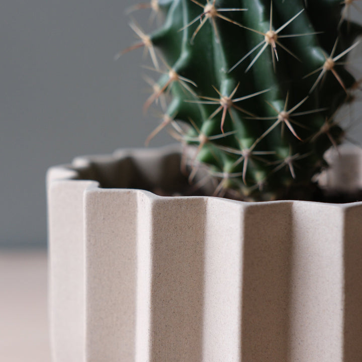 Wrap Planter - Misewell Pots & Planters - dune - 5 inch - HORNE