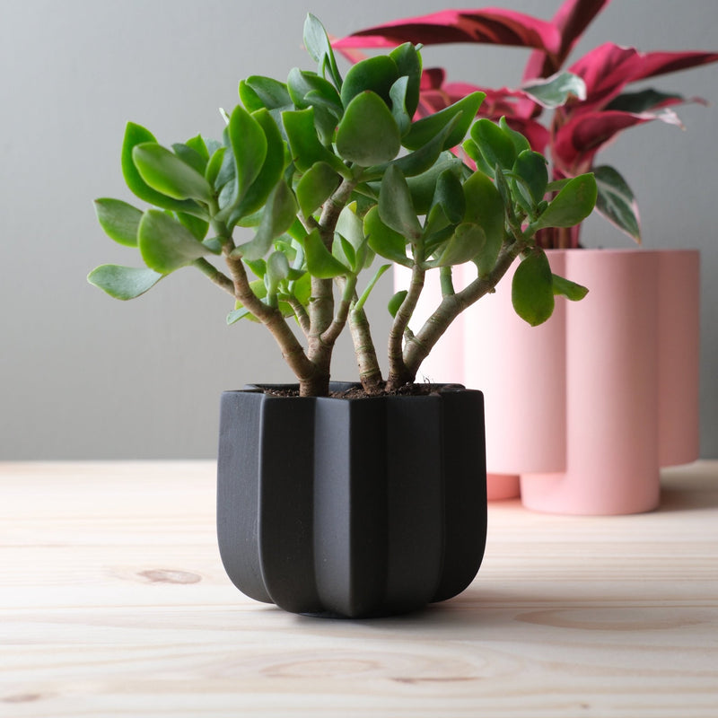 Wrap Planter - Misewell Pots & Planters - dune - 4 inch - HORNE