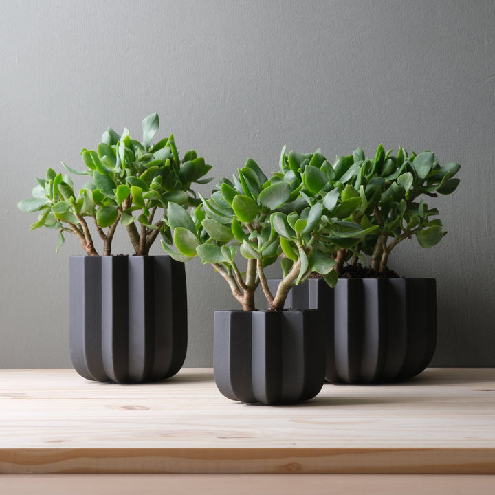 Wrap Planter - Misewell Pots & Planters - black - 4 inch - HORNE
