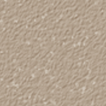 Nutmeg