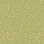 Willow Green