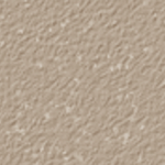 Nutmeg