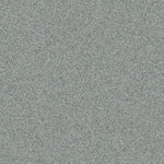 Lapilli Grey