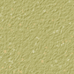 Willow Green