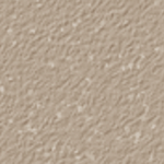 Nutmeg