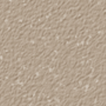 Nutmeg