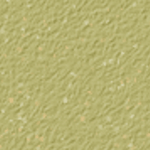 Willow Green