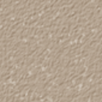 Nutmeg