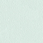 Ice Mint