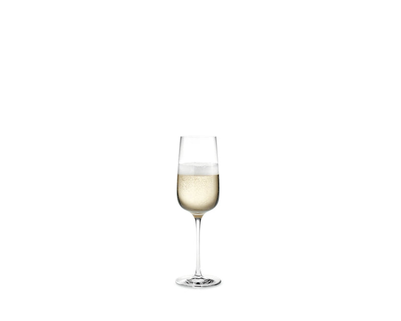 Bouquet Champagne Glass - Set of 6 - Holmegaard - Wine + Champagne Glasses - HORNE