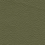 Sierra Leather 0441 (Army)
