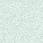 Ice Mint