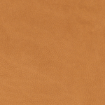 Chamois - 1708