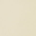 Ivory Leather