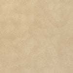 Lariat Savannah