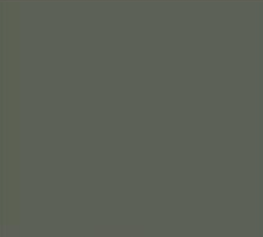 Swatch, Color: Green Khaki-45