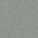 Lapilli Grey