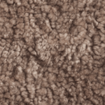 Sahara