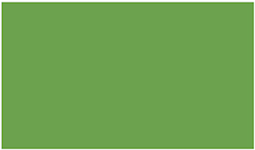 Swatch, Color: Apple Green - RAL6018