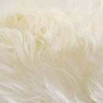Natural White